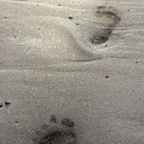 Footsteps